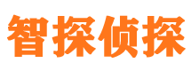 新都侦探公司